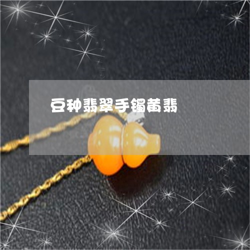 豆种翡翠手镯黄翡/2023062083046