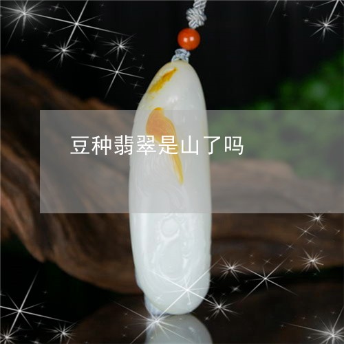 豆种翡翠是山了吗/2023062006273 豆种翡翠是山了吗/2023062006273