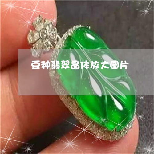 豆种翡翠晶体放大图片/2023060572703