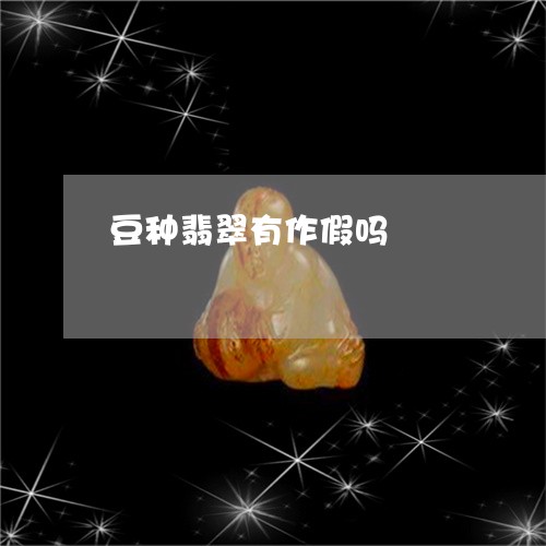豆种翡翠有作假吗/2023030191825