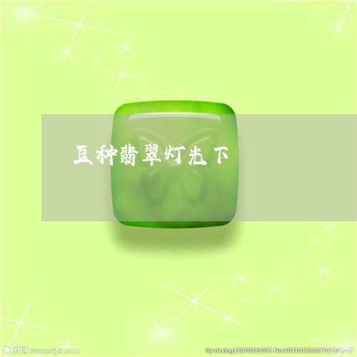 豆种翡翠灯光下/2023032263156