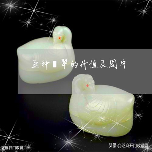 豆种翡翠的价值及图片/2023060541373