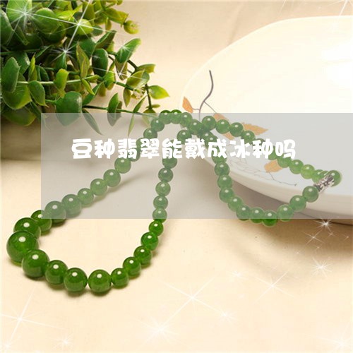 豆种翡翠能戴成冰种吗/2023060504704