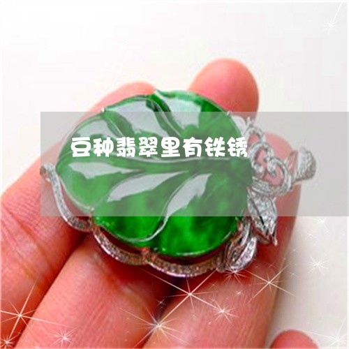 豆种翡翠里有铁锈/2023062016404 豆种翡翠里有铁锈/2023062016404