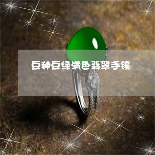豆种豆绿满色翡翠手镯/2023060531582 豆种豆绿满色翡翠手镯/2023060531582