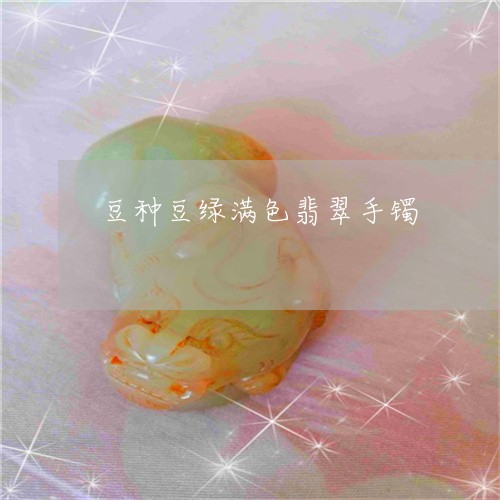 豆种豆绿满色翡翠手镯/2023060547360 豆种豆绿满色翡翠手镯/2023060547360