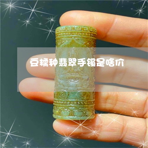 豆糯种翡翠手镯是啥价/2023060530259