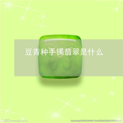 豆青种手镯翡翠是什么/2023060550485 豆青种手镯翡翠是什么/2023060550485