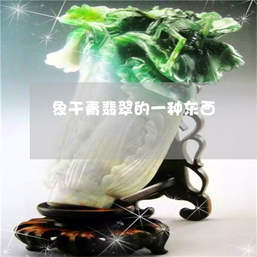 象干青翡翠的一种东西/2023060569525 象干青翡翠的一种东西/2023060569525