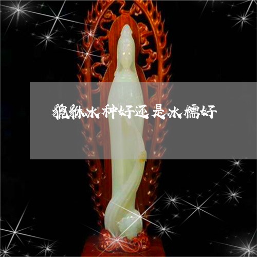 貔貅冰种好还是冰糯好/2023060507141