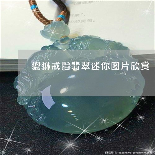 貔貅戒指翡翠迷你图片欣赏/2023062906736