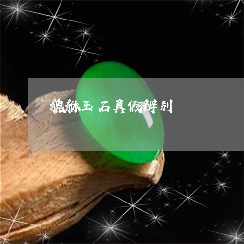 貔貅玉石真假辨别/2023030179715 貔貅玉石真假辨别/2023030179715