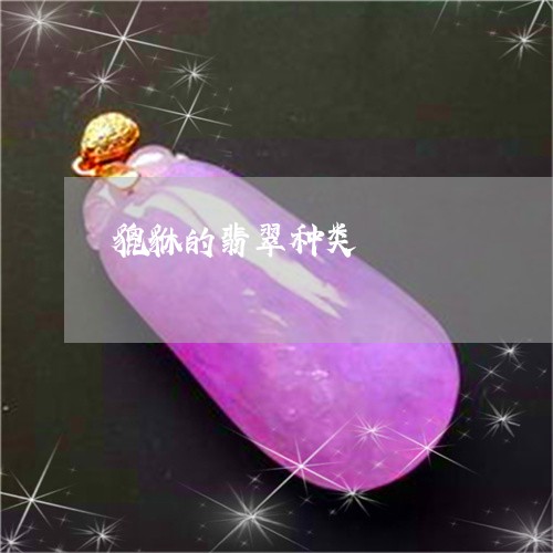 貔貅的翡翠种类/2023032216048 貔貅的翡翠种类/2023032216048