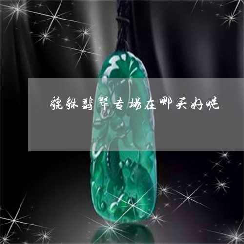 貔貅翡翠专场在哪买好呢/2023060999480