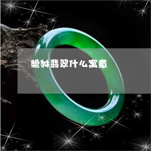 貔貅翡翠什么寓意/2023030113513