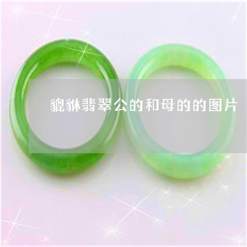 貔貅翡翠公的和母的的图片/2023071183926 貔貅翡翠公的和母的的图片/2023071183926