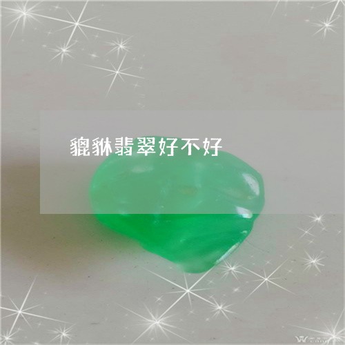 貔貅翡翠好不好/2023032261726