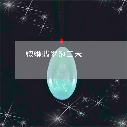 貔貅翡翠泡三天/2023032295803