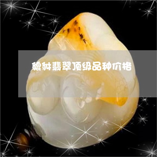 貔貅翡翠顶级品种价格/2023060415025