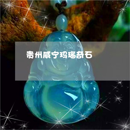 贵州威宁玛瑙奇石/2023030174059 贵州威宁玛瑙奇石/2023030174059