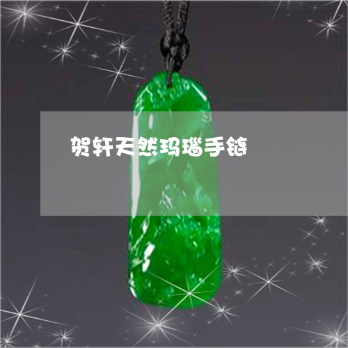 贺轩天然玛瑙手链/2023030155249 贺轩天然玛瑙手链/2023030155249