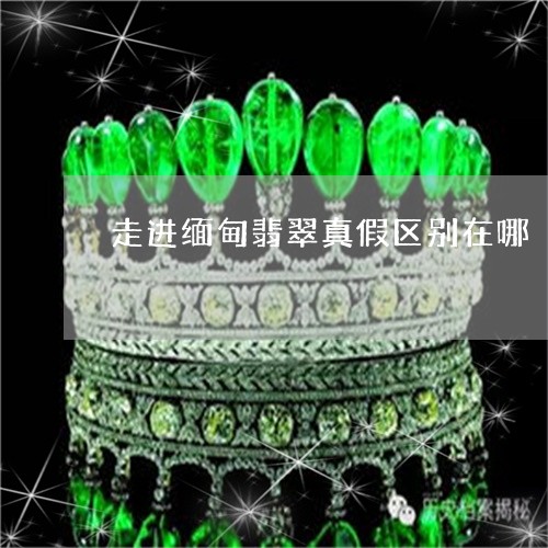 走进缅甸翡翠真假区别在哪/2023061900604 走进缅甸翡翠真假区别在哪/2023061900604