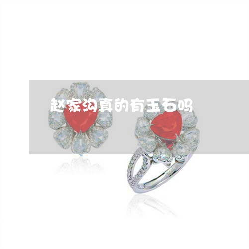 赵家沟真的有玉石吗/2023020650717