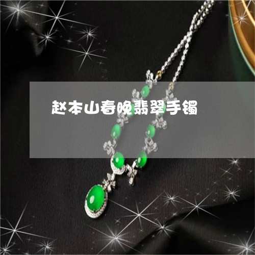 赵本山春晚翡翠手镯/2023020666378 赵本山春晚翡翠手镯/2023020666378