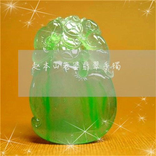 赵本山老婆翡翠手镯/2023020672796