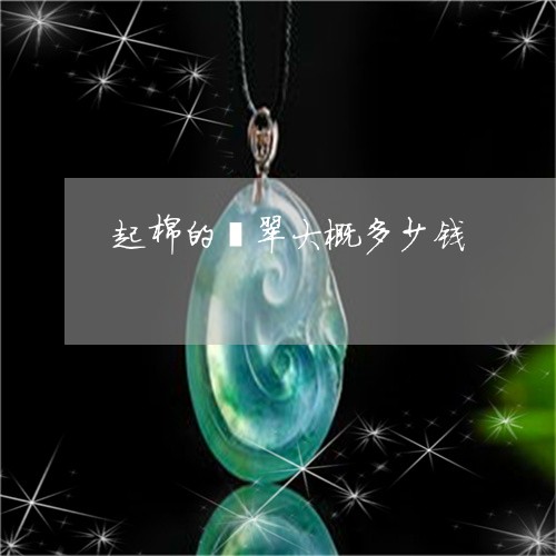 起棉的翡翠大概多少钱/2023060550391