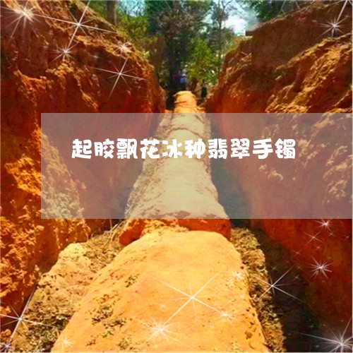 起胶飘花冰种翡翠手镯/2023060526829