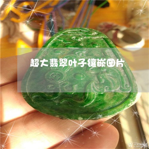 超大翡翠叶子镶嵌图片/2023060592626 超大翡翠叶子镶嵌图片/2023060592626