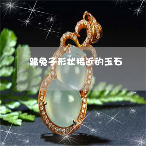 跟兔子形状接近的玉石/2023060586137