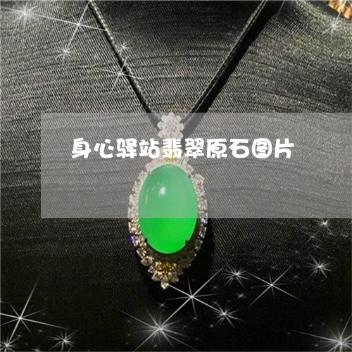 身心驿站翡翠原石图片/2023060515350
