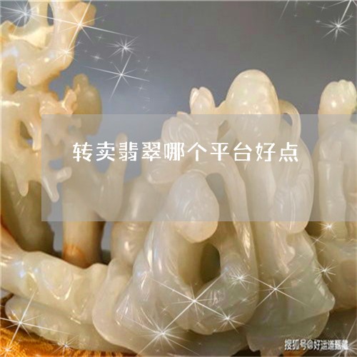 转卖翡翠哪个平台好点/2023060569261