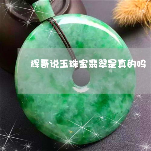 辉哥说玉珠宝翡翠是真的吗/2023071127149
