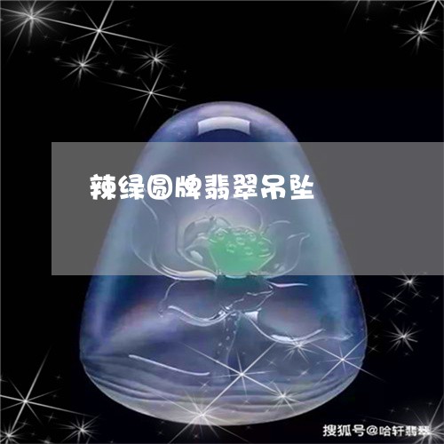 辣绿圆牌翡翠吊坠/2023062050692
