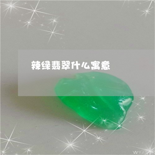 辣绿翡翠什么寓意/2023062086360