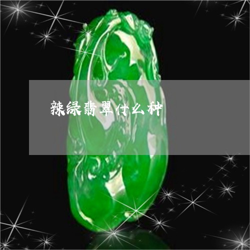 辣绿翡翠什么种/2023032206047