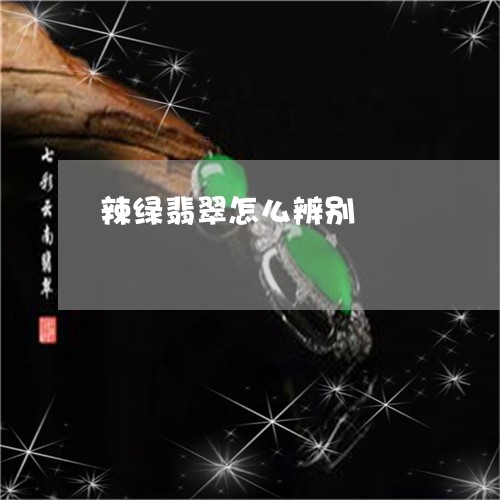 辣绿翡翠怎么辨别/2023062038493