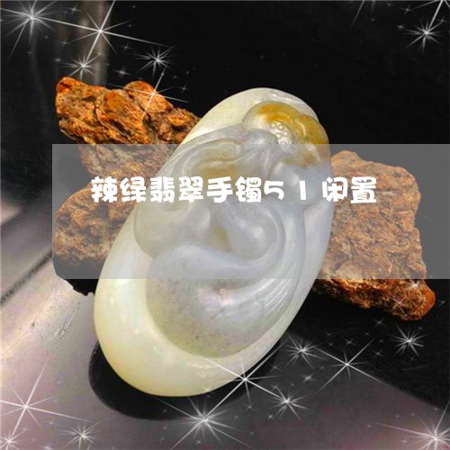 辣绿翡翠手镯51闲置/2023060552594