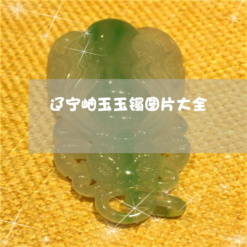 辽宁岫玉玉镯图片大全/2023060592814