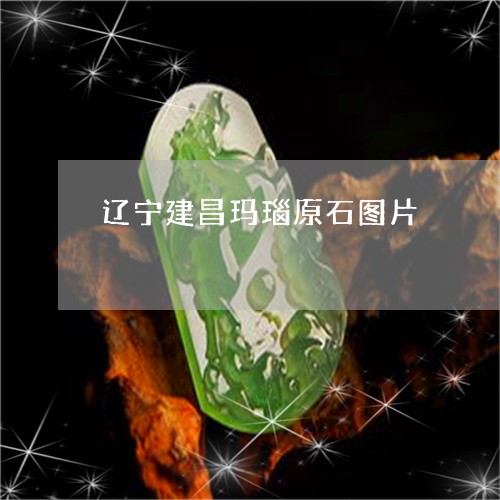 辽宁建昌玛瑙原石图片/2023060504037