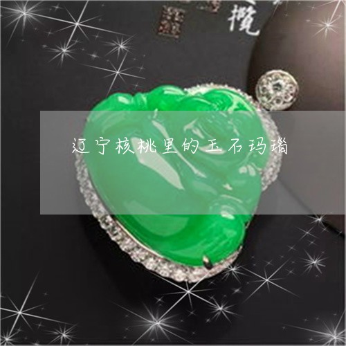 辽宁核桃里的玉石玛瑙/2023060511705 辽宁核桃里的玉石玛瑙/2023060511705