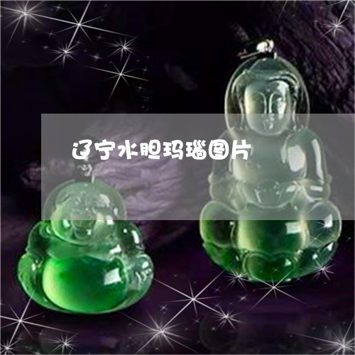 辽宁水胆玛瑙图片/2023030143615 辽宁水胆玛瑙图片/2023030143615