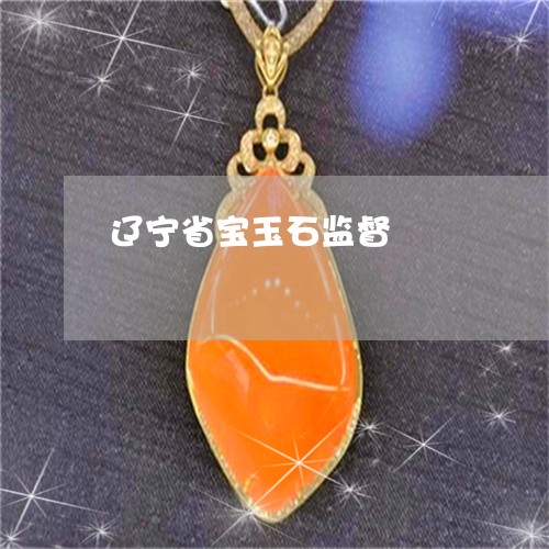 辽宁省宝玉石监督/2023062037503