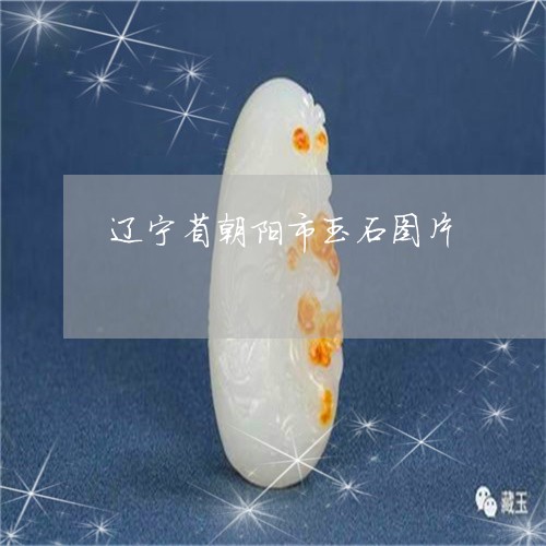 辽宁省朝阳市玉石图片/2023060529470