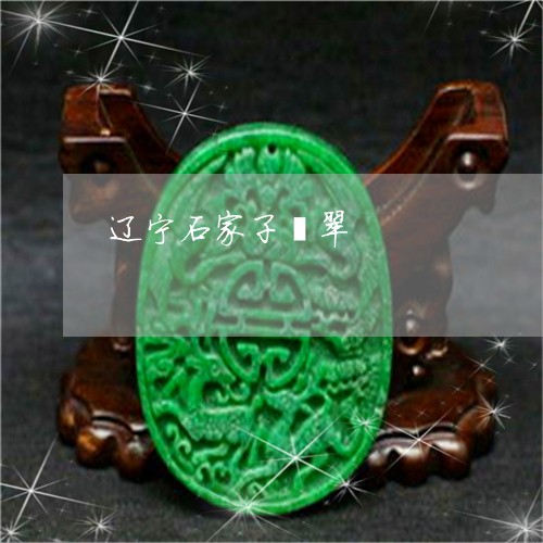 辽宁石家子翡翠/2023032248261 辽宁石家子翡翠/2023032248261