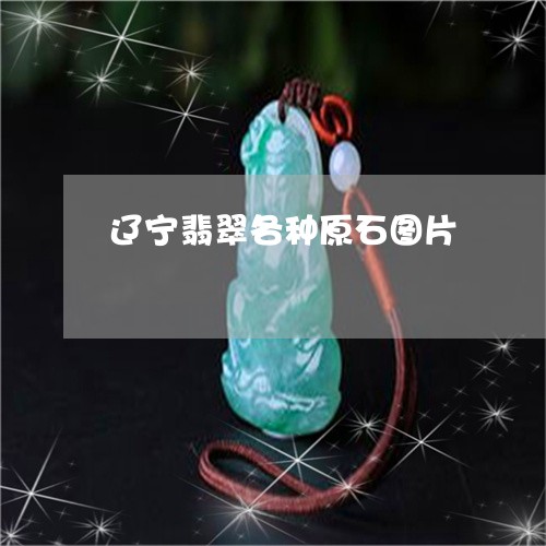 辽宁翡翠各种原石图片/2023060581594