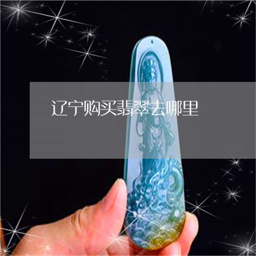 辽宁购买翡翠去哪里/2023020646248